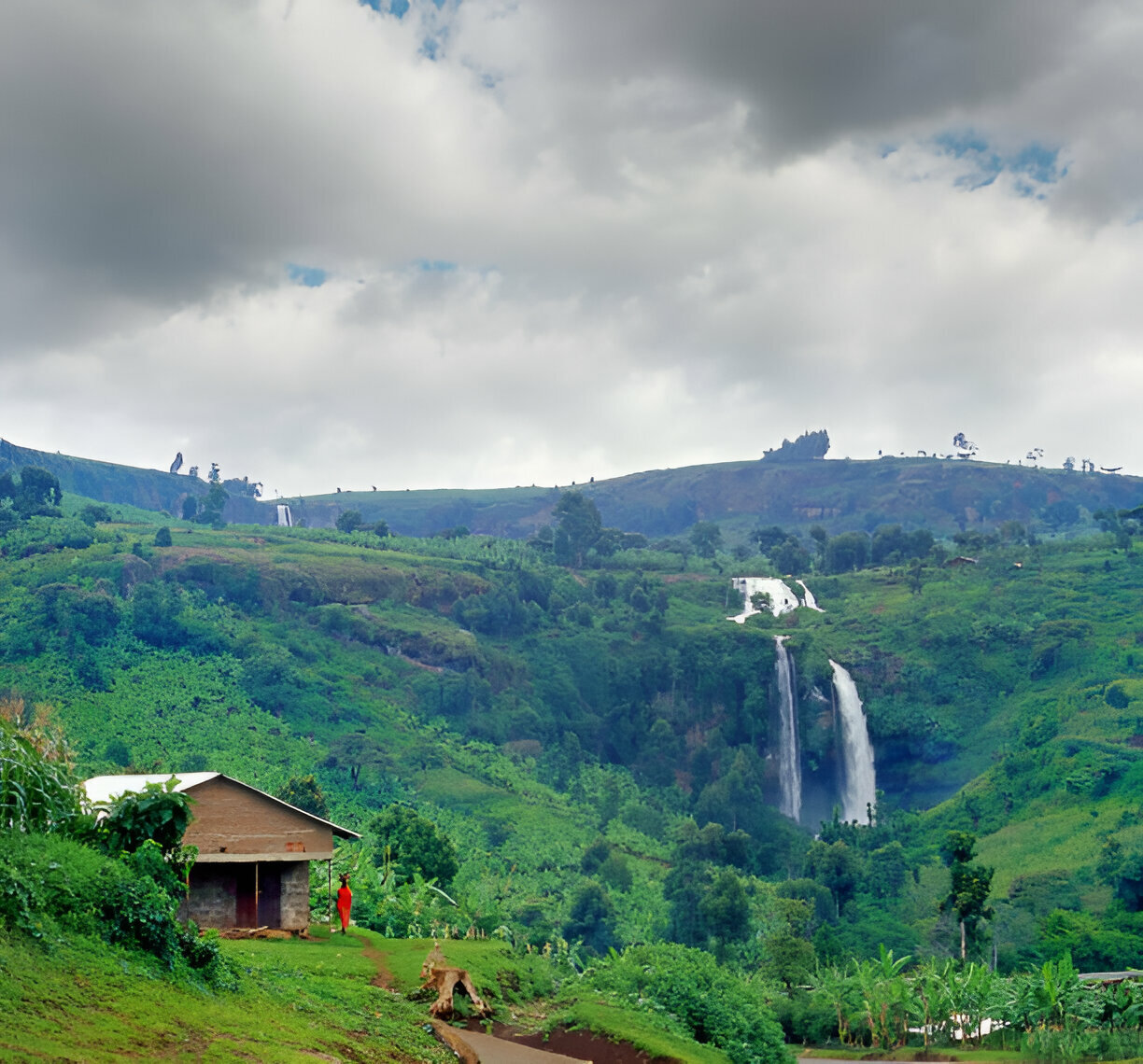 14 Days Best of Uganda Wildlife, Chimpanzee and Gorilla Trekking Safari Tour (16)