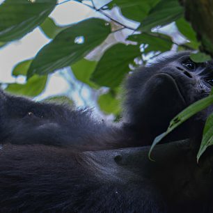 Uganda