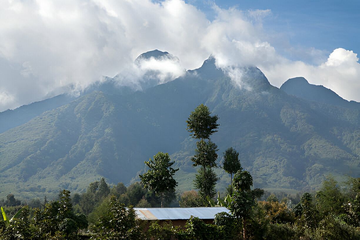 4 Days Rwanda Gorilla and Lake Kivu Safari (2)