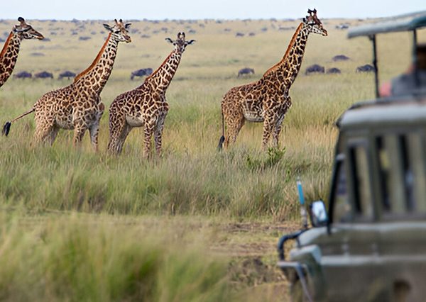 5 Days Kenya Safari to Maasai Mara and Hells Gate National Parks