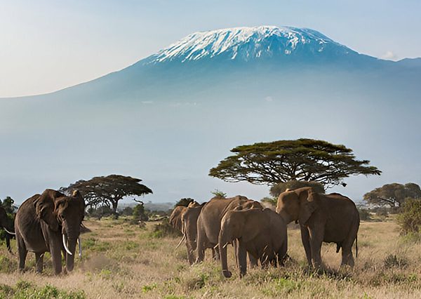 8 Days Tanzania Safari, Wildebeest Migration and Masai Culture