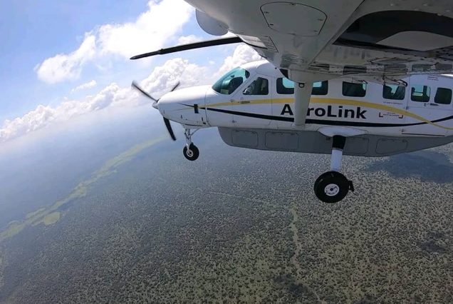 5 Days Exclusive Fly-in Gorilla Trekking Experience
